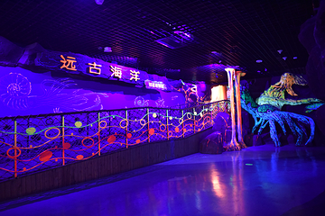 海合安天津极地海洋公园第 105 张图片