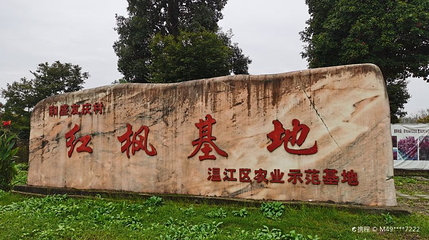 红枫基地第 1 张图片