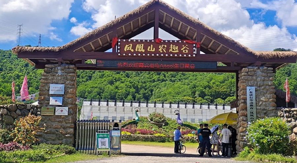 凤凰山农趣谷采摘·野炊·团建·农家菜