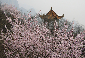 五龙口风景区第 15 张图片