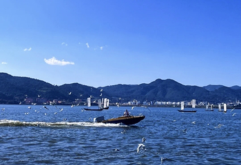 海埂大坝第 20 张图片