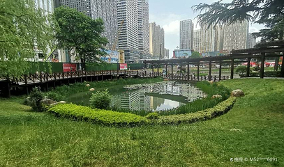 花果园湿地公园阳光草坪第 1 张图片