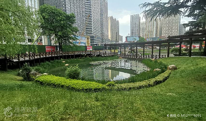 花果园湿地公园阳光草坪第 4 张图片