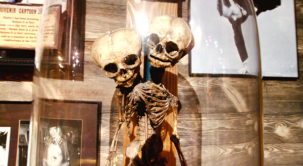 Ripley's Believe It or Not!