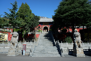 嵩阳景区第 20 张图片