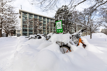 北海道大学第 16 张图片