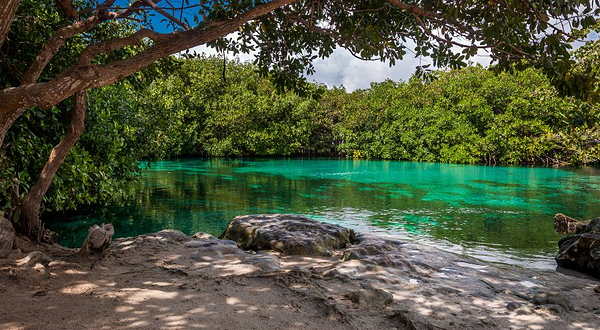 Casa Cenote灰岩坑