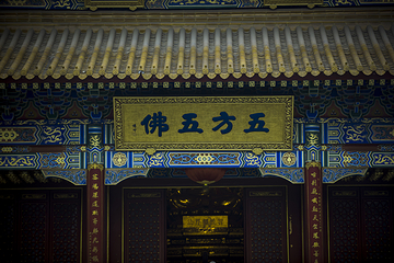 大兴善寺第 47 张图片