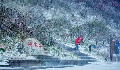 神农顶风景区第 44 张图片