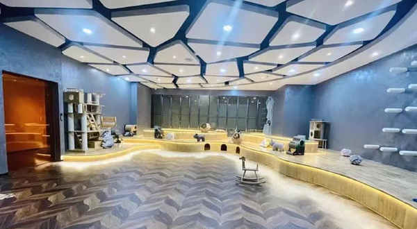 M ZOO疯狂动物城(乐客城购物公园店)