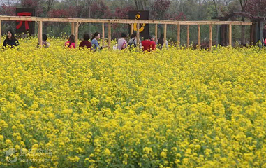 桃花缘生态休闲农场第 2 张图片