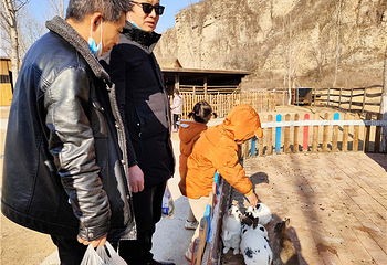 恋乡农场(玉米冒险村)第 84 张图片