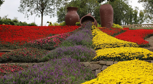 竹文化生态公园-龙头山