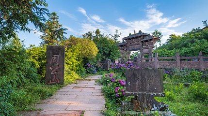 周公山国家森林公园第 1 张图片