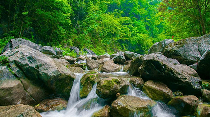 木桥溪生态旅游度假区第 1 张图片