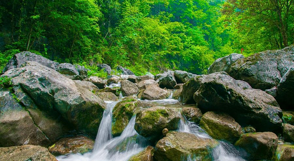 木桥溪生态旅游度假区