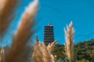 牛首山文化旅游区第 121 张图片