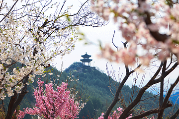 红螺寺第 77 张图片