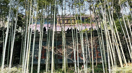 天柱山风景区-飞来峰第 2 张图片