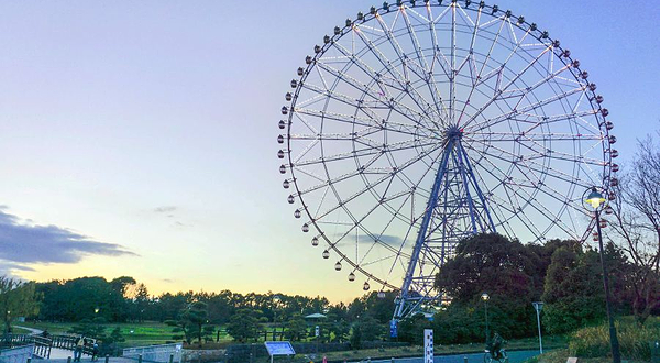 钻石与花之大摩天轮