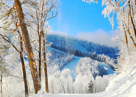 亚布力原始森林穿越