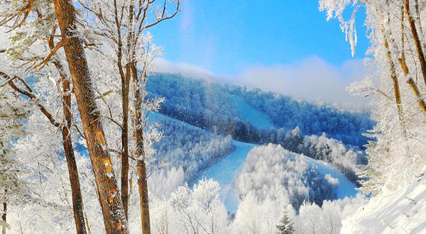 亚布力原始森林穿越