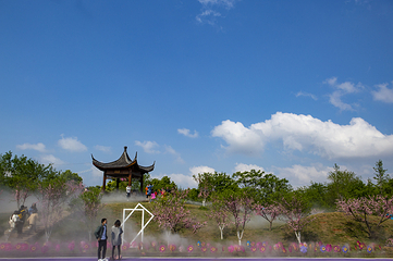 墨潭桃花岛第 3 张图片