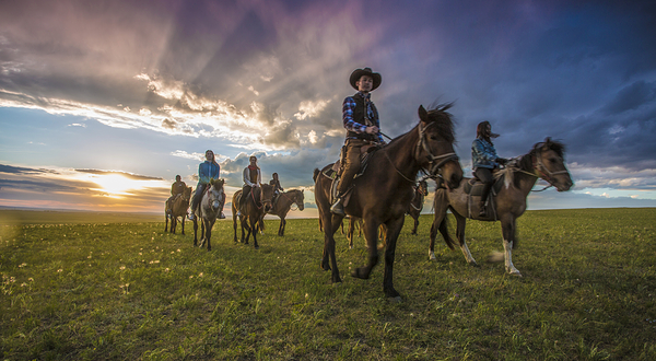 老高马场(额尔古纳市黑山头店)