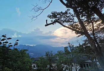 药王谷第 37 张图片