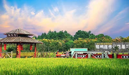 桃花缘生态休闲农场第 1 张图片