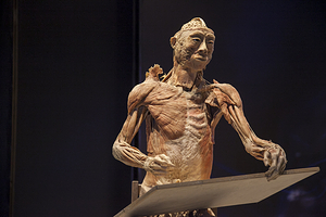 生命奥秘博物馆