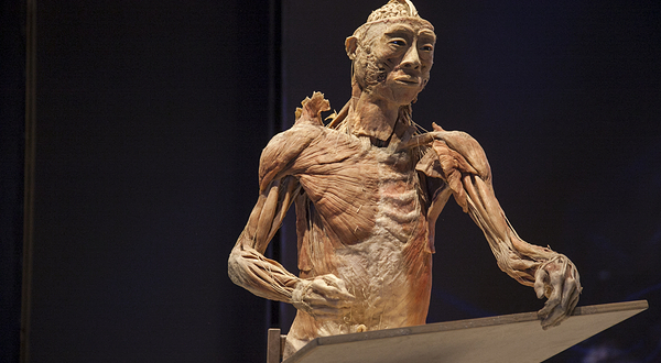 生命奥秘博物馆