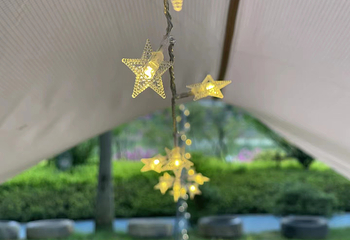 萤火虫森林露营地第 9 张图片