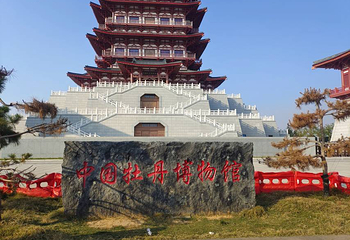 牡丹博物馆第 5 张图片