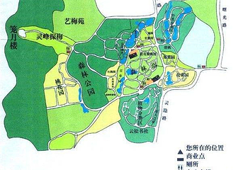 杭州植物园第 3 张图片