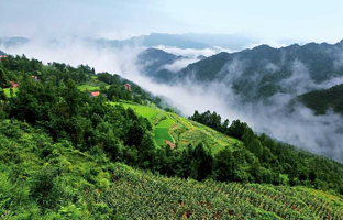 万源市黑宝山林场