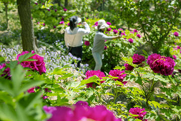 红螺寺第 68 张图片