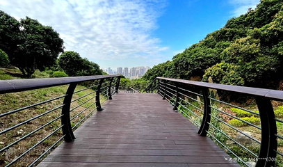 大雁山第 2 张图片