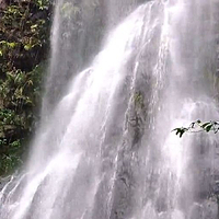 贵港市龙涡瀑布