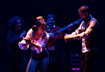 塞维利亚Teatro Flamenco Sevilla弗拉明戈剧院第 13 张图片