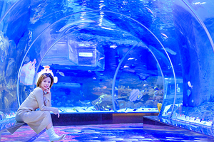 顺德南宏海洋公园