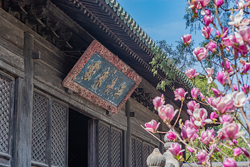 大觉寺第 2 张图片