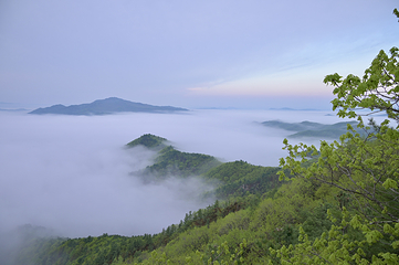 金祖峰景区第 5 张图片