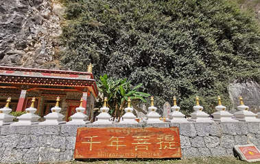 香格里拉巴拉格宗风景名胜区第 181 张图片