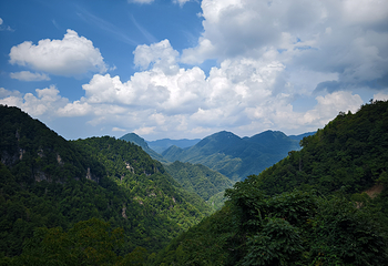 神农顶风景区第 72 张图片