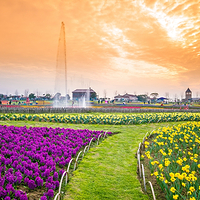 花博汇(知音花月夜)