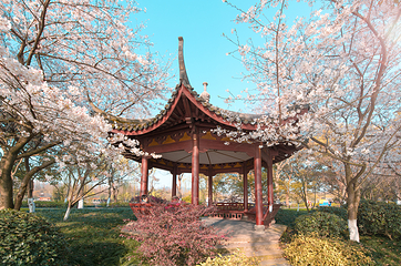 赣州城市中央公园第 4 张图片