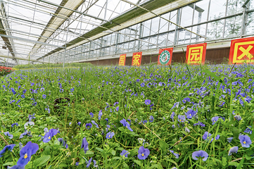 蔓谷景区第 37 张图片