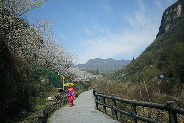 三峡大瀑布第 32 张图片