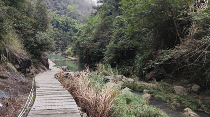 瑞安高楼龙潭风景区第 1 张图片